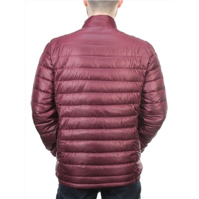 GBIT 81008 WINE Куртка мужская демисезонная BNQXIANG (100 гр. синтепон)