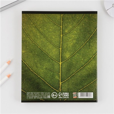 Тетрадь А5, 96 листов на скрепке, "Зелёный мир" ,обложка мелованный картон 230 гр., внутренний блок №2, в клетку 80 гр., белизна  80 %