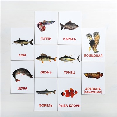 Обучающие карточки по методике Г. Домана «Рыбы», 10 карт, А6