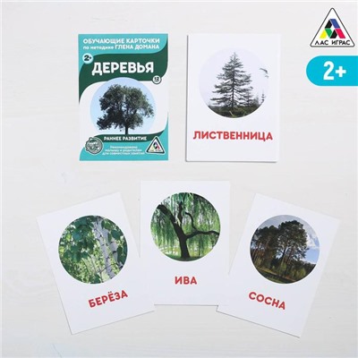 Обучающие карточки по методике Г. Домана «Деревья», 12 карт, А6