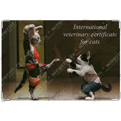 Международный ветеринарный паспорт кота.