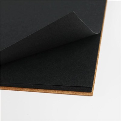 Скетчбук с черными листами А5, 20 листов, 160 г/м2 «Фрида»