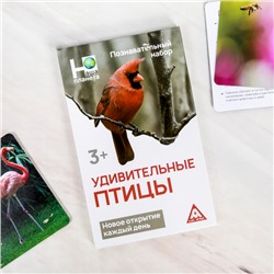 Энциклопедия в карточках «Удивительные птицы», 24 карточки