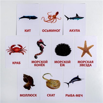 Обучающие карточки по методике Г. Домана «Морские обитатели», 10 карт, А6