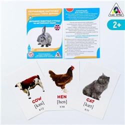 Обучающие карточки по методике Г. Домана «Домашние животные на английском языке», 12 карт, А6