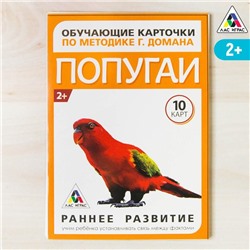 Обучающие карточки по методике Г. Домана «Попугаи», 10 карт, А6